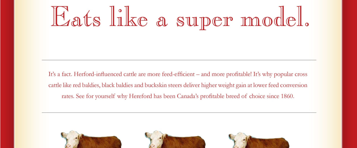 Canadian Hereford Association